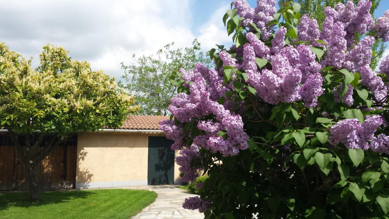 Casa Rural Las Tuyas En Segovia Palazuelos de Eresma المظهر الخارجي الصورة